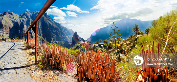 Valle de Masca.Tenerife.Islas Canarias.Paisaje espectacular y vegetación.Cactus y montañas.Panoramic