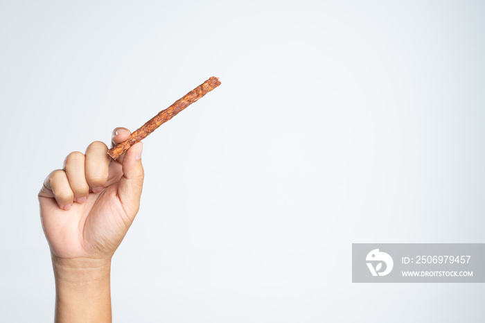 Hand holding pet jerky treat stick for dog