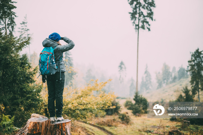 Young Woman Standing On Stump In Forest And Looking Into Distance In Deforestation Zone. Back View. 