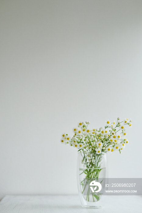 Camomile花束立在白色木质背景上的透明玻璃花瓶上——简约