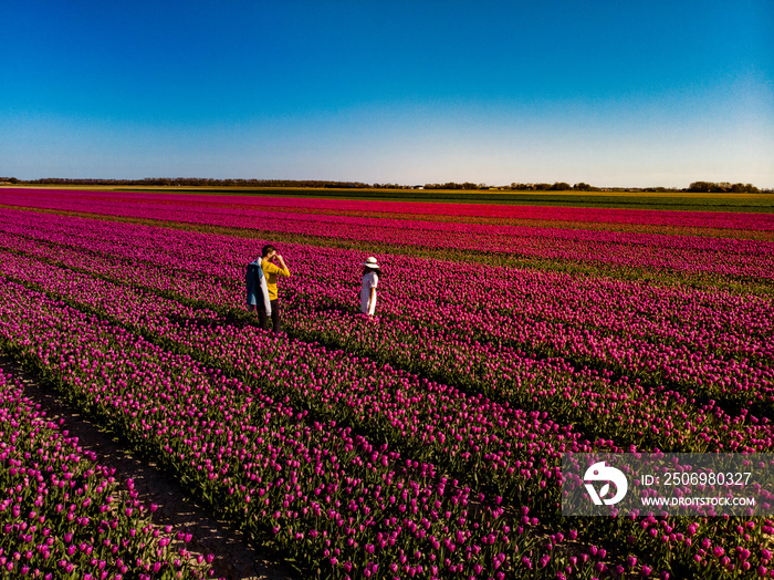 couple in flower field during spring, couple men and woman in tulip flower field in the netherlands