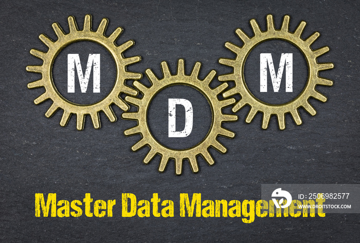 MDM Master Data Management