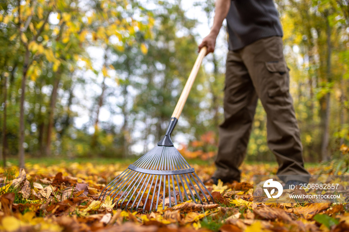 Blätter im Herbst zusammenfegen