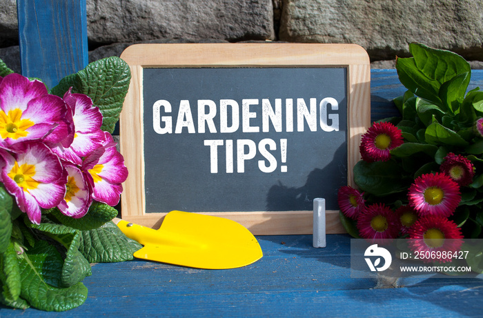 Chalkboards with gardening equipment and plants