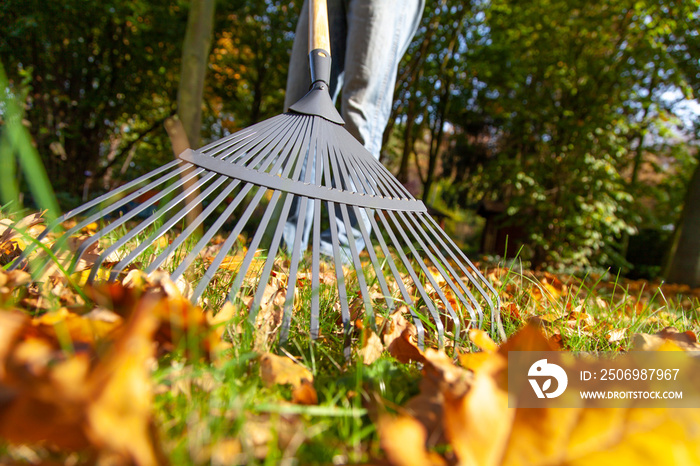 Junge fegt Blätter im Herbst Garten Park zusammen über Rasen Wiese