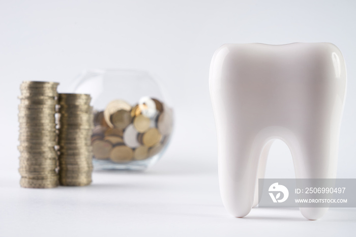 Tooth and piggy box with coins on isolate white background.Financial Concept Dentist Money concept