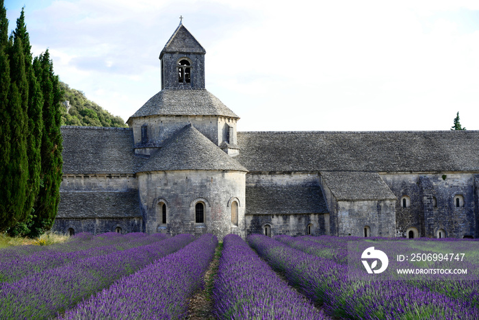 Zisterzienserabtei Abbaye Notre-Dame de Sénanque mit Lavendelfeld, Vaucluse, Provence, Region Proven