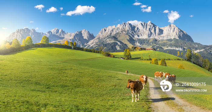 Herbststimmung Wilder Kaiser Tirol