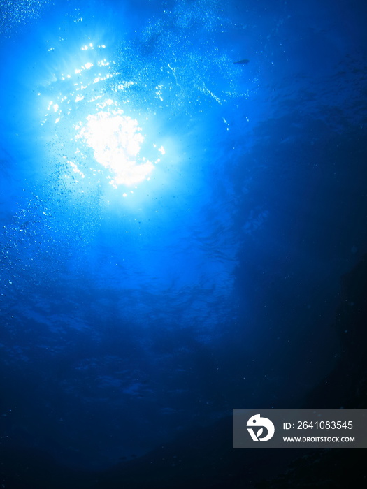 从海底仰望太阳闪耀的水面冲绳庆良间群岛