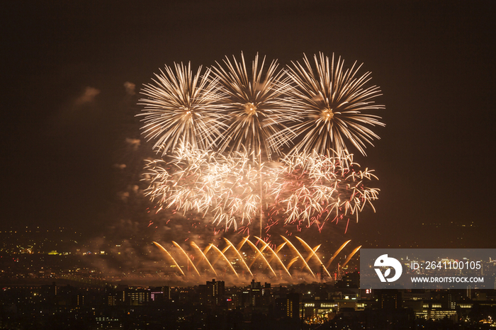 Fireworks at night in Nagaoka City,Niigata Prefecture