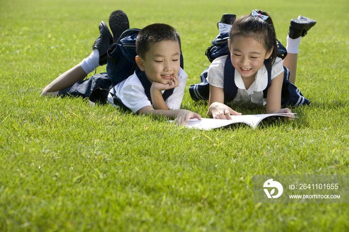 两个在草地上看书的小学生