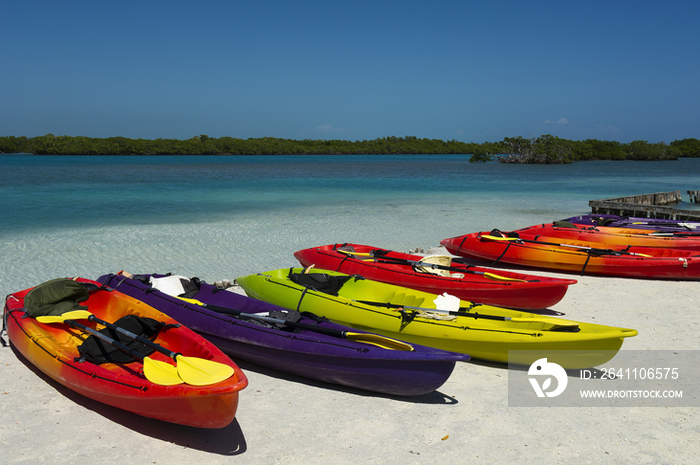 Line-up of Canoe on the Beach of Belize