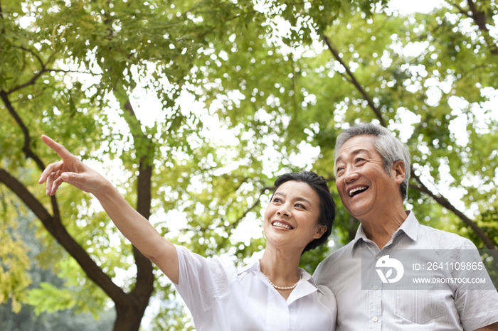 老年夫妇幸福依偎