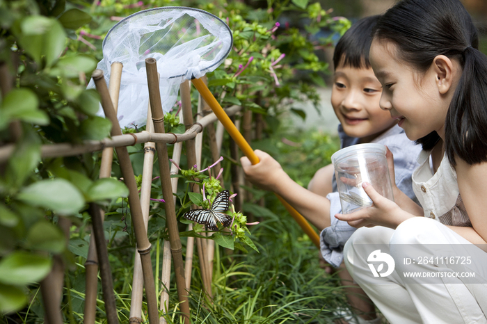 儿童在花园研究蝴蝶