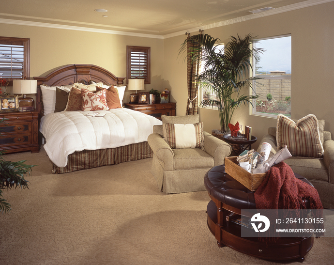 Seating area and contemporary bed in bedroom