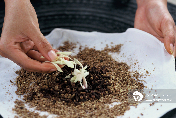 Preparation of an herbal compress to be applied on the body Thailand