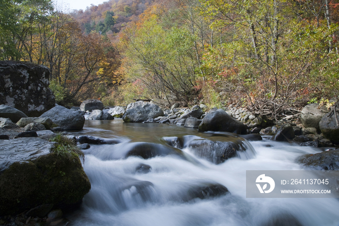 Shiga Plateau in autumn, Nagano, Japan