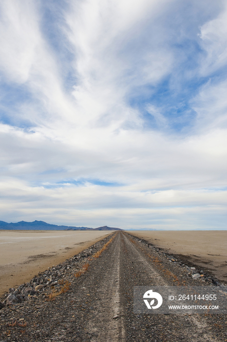 Dirt Road in Desert