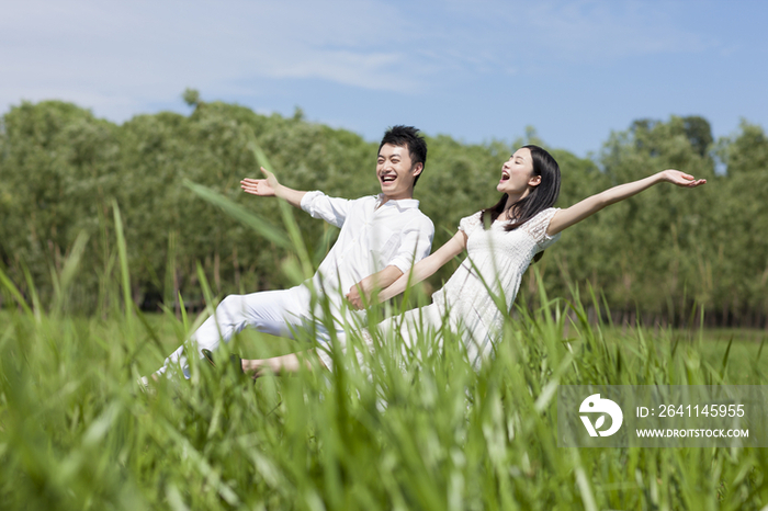 草地上的年轻情侣