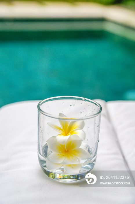 Plumeria flower in a glass