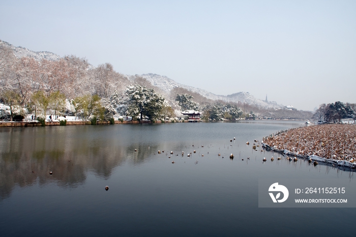 杭州西湖曲院风荷雪景