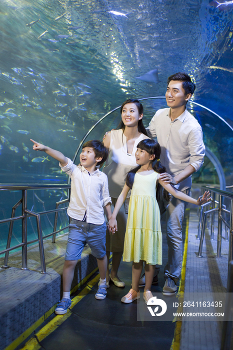 年轻家庭参观海洋馆