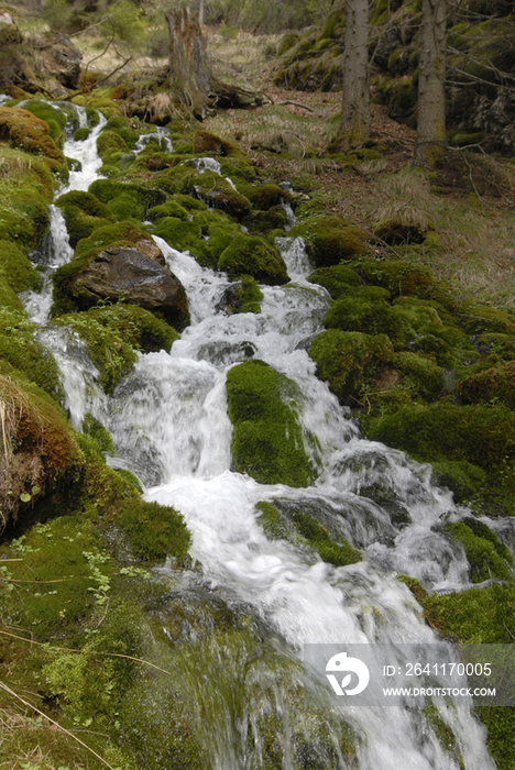 Italy, Trentino Alto Adige, Val Canali, waterfall