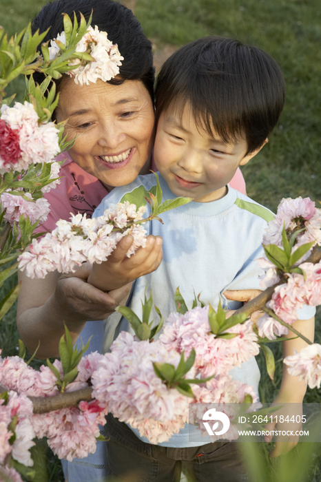 老人和小男孩欣赏花朵