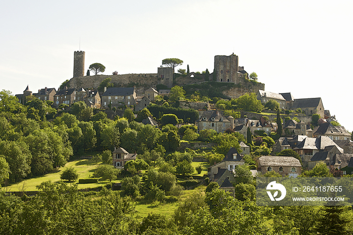 Chateau de Turenne,France