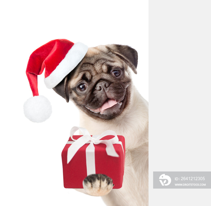 Happy puppy in red christmas hat holding gift box and peeking above white banner. isolated on white 