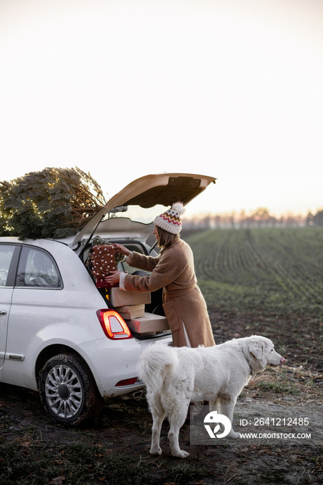Woman packing gifts into the car with Christmas tree on a rooftop on nature at dusk. Getting ready f