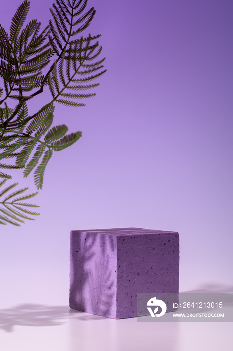紫色背景下的空讲台或产品展示台、植物和阴影
