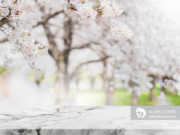 空的汉白玉石桌面和花园背景中模糊的樱花树，复古