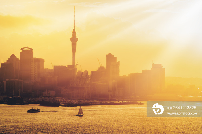 新西兰奥克兰市的金色日落。
