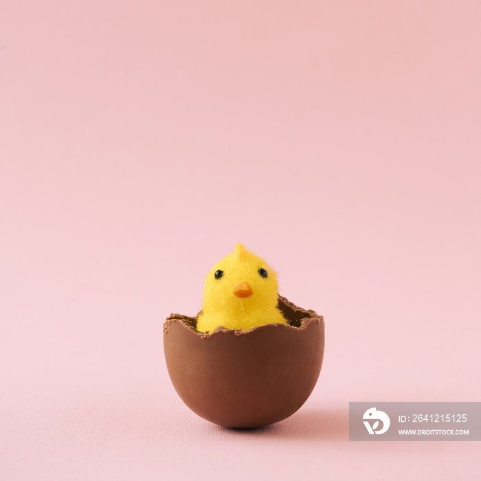 Chick hatched out of chocolate Easter egg on pastel pink background. Minimal holiday concept.