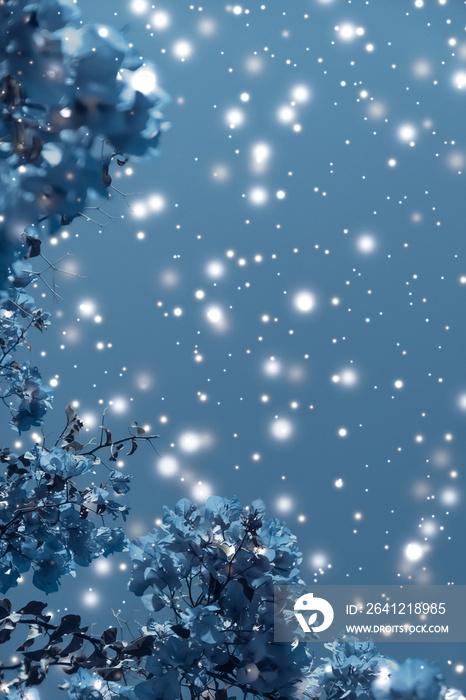 圣诞节，新年蓝色花卉自然背景，节日卡片设计，花树和雪闪闪发光
