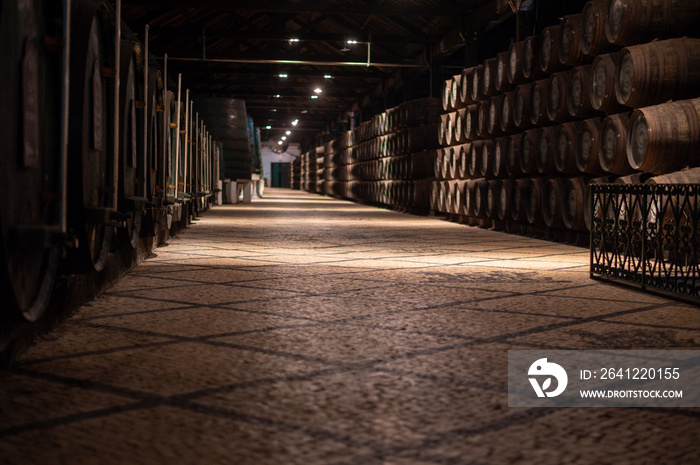 Old porto lodge with rows of oak wooden casks for slow aging of fortified ruby or tawny porto wine i