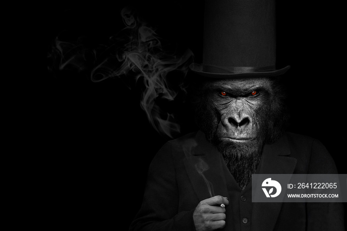 大猩猩哺乳动物脸上的人，大猩猩人吸烟，动物脸孤立黑色w