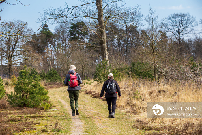 Elderly couple hiking in Nature park Adderveen near Appelscha in Denthe The Netherlands