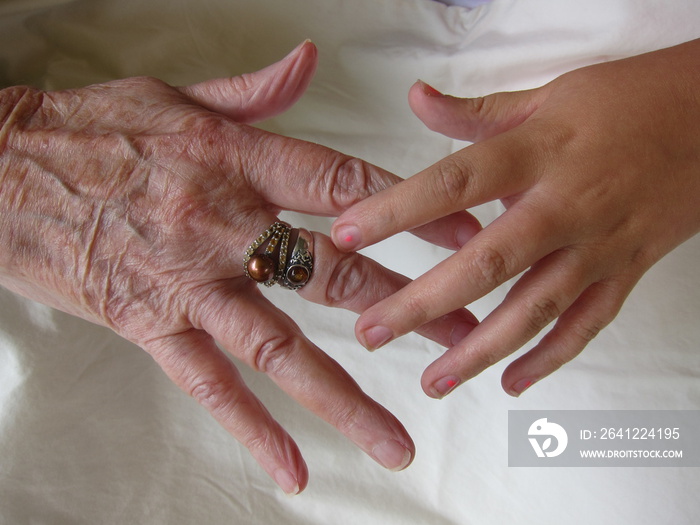 Childs hand tenderly touching elderly womans hand