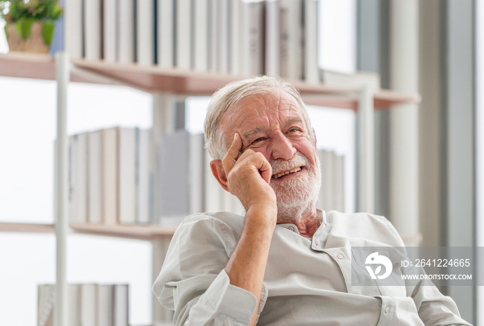 Portrait of smiling senior man relaxing and enjoying in living room