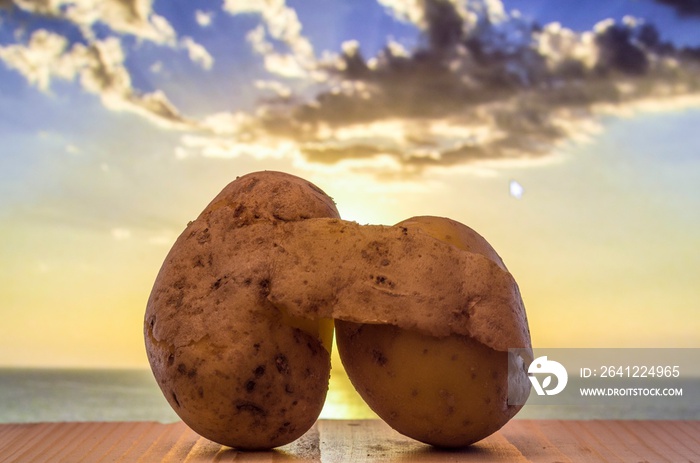 Pair of mature potatoes embracing each other at sunset