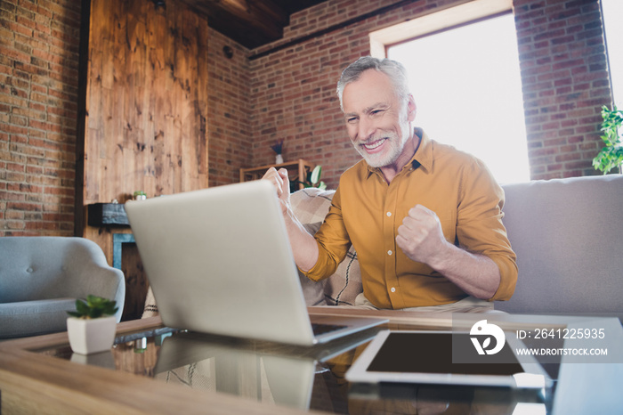 Photo of delighted person sit on couch look laptop toothy smile fists up celebrate success achieveme