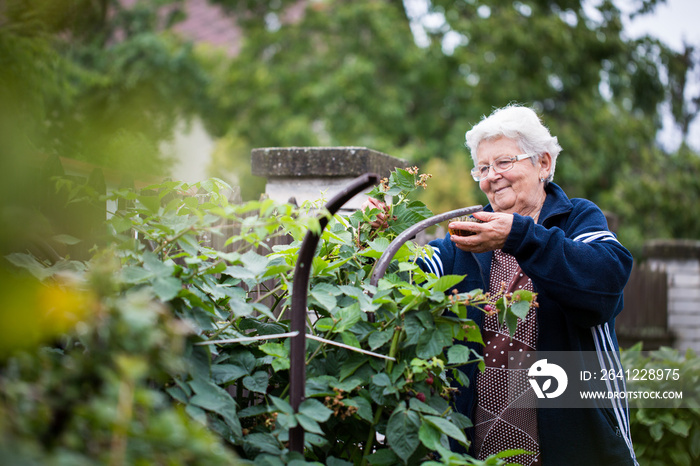 Senior woman gardening at her huge garden, take care of her plants