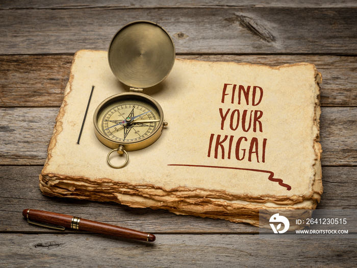 用时尚的钢笔和复古的风格在复古速写本中找到你的ikigai-鼓舞人心的笔迹br
