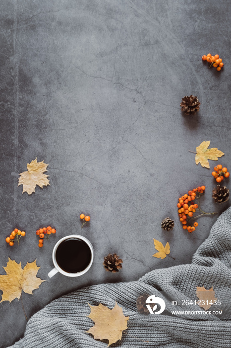 秋天的作文。一杯咖啡、毛衣、雪糕筒、浆果罗望子和秋天的枫叶在黑暗的角落里