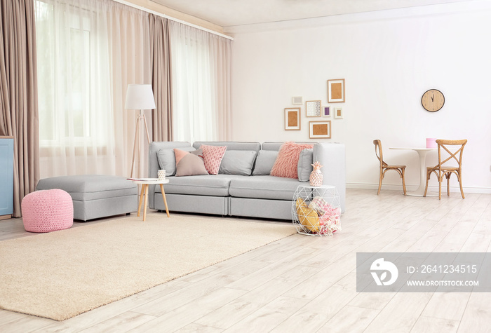 带沙发和地毯的现代客厅内部