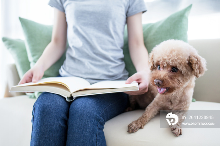 Girl relax reading book and sitting with dog in bed.