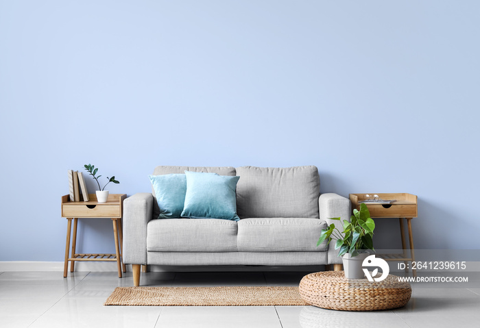 Interior of light living room with sofa, wooden tables and houseplants