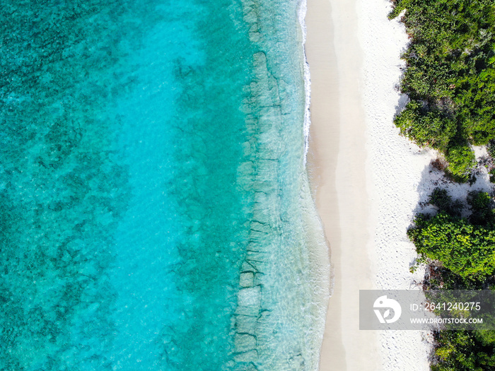 Waves on beach with palm trees in the Caribbean, drone photo